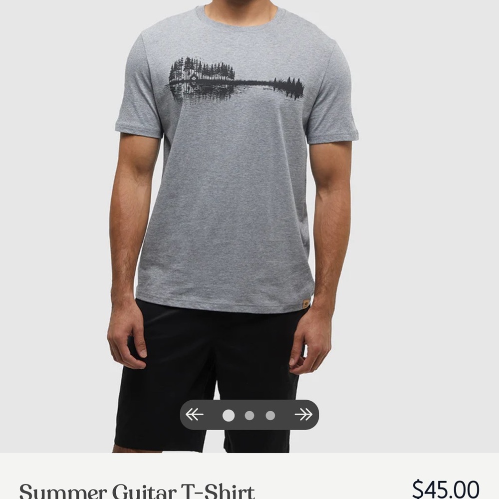 tentree Gray Nature Graphic Tee